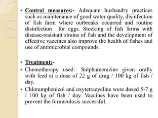 Bacterial disease of finfish and their management | PPTX
