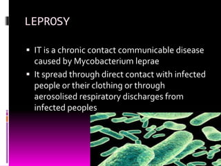 LEPROSY 
 IT is a chronic contact communicable disease 
caused by Mycobacterium leprae 
 It spread through direct contact with infected 
people or their clothing or through 
aerosolised respiratory discharges from 
infected peoples 
 