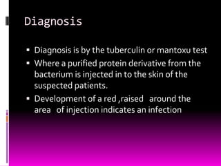 Diagnosis 
 Diagnosis is by the tuberculin or mantoxu test 
 Where a purified protein derivative from the 
bacterium is injected in to the skin of the 
suspected patients. 
 Development of a red ,raised around the 
area of injection indicates an infection 
 