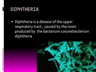 DIPHTHERIA 
 Diphtheria is a disease of the upper 
respiratory tract , caused by the toxin 
produced by the bacterium corynebacterium 
diphtheria 
 