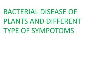 Bacterial diseases of plants | PPTX