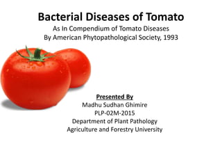 Bacterial Diseases of Tomato
As In Compendium of Tomato Diseases
By American Phytopathological Society, 1993
Presented By
Madhu Sudhan Ghimire
PLP-02M-2015
Department of Plant Pathology
Agriculture and Forestry University
 
