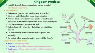 Kingdom Protista
Initially included more organisms but now mainly
unicellular eukaryotes.
Characteristics:
Eukaryotic (have a true nucleus and organelles).
Most are unicellular, but some form colonies.
Protists have a true membrane-enclosed nucleus and
organelles within their cytoplasm, as do other eukaryotes.
Live in freshwater, seawater, or soil.
Defined more by what they lack than by what they
possess
Do not develop from an embryo (like plants and
animals).
Do not develop from distinctive spores (like fungi).
Major Groups of Protists :
Algae – Resemble plants.
Protozoa – Resemble animals; some cause diseases.
Euglenoids – Share characteristics of both plants and
animals .
 