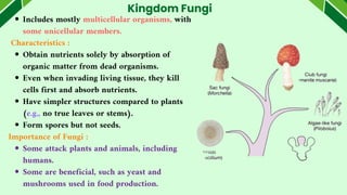 Includes mostly multicellular organisms, with
some unicellular members.
Characteristics :
Obtain nutrients solely by absorption of
organic matter from dead organisms.
Even when invading living tissue, they kill
cells first and absorb nutrients.
Have simpler structures compared to plants
(e.g., no true leaves or stems).
Form spores but not seeds.
Importance of Fungi :
Some attack plants and animals, including
humans.
Some are beneficial, such as yeast and
mushrooms used in food production.
Kingdom Fungi
 
