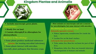 Kingdom Plantae and Animalia
Includes macroscopic green plants.
Characteristics :
1-Mostly live on land.
2-Contain chlorophyll in chloroplasts for
photosynthesis.
Relevance to Microbiology:
1-Some plants produce medicinal substances
(e.g., quinine for treating microbial infections).
2-Some plants interact with microbes,
especially plant pathogens that threaten crops.
• Most animals are macroscopic and not a concern
for microbiologists, but some interact with microbes.
Microbiologically Important Groups:
Helminths (parasitic worms):
Flukes, tapeworms, roundworms live inside the
host.
Leeches live on the host’s surface.
Arthropods that spread disease:
Ticks, mites, lice, fleas live on hosts for part of their
lives.
Mosquitoes, ticks, lice, fleas can transmit infectious
microorganisms to humans and animals.
 