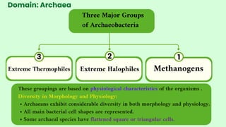 Domain: Archaea
Three Major Groups
of Archaeobacteria
These groupings are based on physiological characteristics of the organisms .
Diversity in Morphology and Physiology:
• Archaeans exhibit considerable diversity in both morphology and physiology.
• All main bacterial cell shapes are represented.
• Some archaeal species have flattened square or triangular cells.
1
2
3
Methanogens
Extreme Halophiles
Extreme Thermophiles
 
