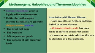 Methanogens, Halophiles, and Thermoacidophiles
Extreme Halophiles grow in
highly saline environments .
Unlike the methanogens,
extreme halophiles are generally
obligate aerobes such as:
The Great Salt Lake
The Dead Sea
Salt evaporation ponds
The surfaces of salt-preserved
foods
Association with Human Disease:
• Until recently, no Archaea had been
linked to human diseases.
• Methanobrevibacter oralis has been
found in infected dental root canals.
• It remains uncertain whether this can
be classified as a true pathogen.
 