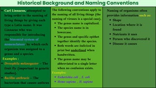 Historical Background and Naming Conventions
Carl Linnaeus, attempted to
bring order to the naming of
living things by giving each
type a Latin name. It was
Linnaeus who was
responsible for introducing
the binomial system of
nomenclature, by which each
organism was assigned to a
genus and a species.
Examples :
Drosophila melanogaster – The
fruit fly (important in genetic
studies).
Bacillus anthracis – The
bacterium that causes anthrax
The following conventions apply to
the naming of all living things (the
naming of viruses is a special case).
The genus name is capitalized.
The species name is in
lowercase.
The genus and specific epithet
together identify the species.
Both words are italicized in
print but underlined when
handwritten.
The genus name may be
abbreviated to a single letter
when no confusion exists.
Examples:
Escherichia coli _ E. coli
Homo sapiens _ H. sapiens
Naming of organisms often
provides information such as:
Shape
Location where it is
found
Nutrients it uses
Person who discovered it
Disease it causes
 