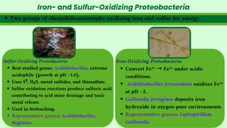 Two groups of chemolithoautotrophs oxidizing iron and sulfur for energy.
Iron- and Sulfur-Oxidizing Proteobacteria
Sulfur-Oxidizing Proteobacteria
Best-studied genus: Acidithiobacillus, extreme
acidophile (growth at pH ~1.0).
Uses S⁰, H₂S, metal sulfides, and thiosulfate.
Sulfur oxidation reactions produce sulfuric acid,
contributing to acid mine drainage and toxic
metal release.
Used in bioleaching.
Representative genera: Acidithiobacillus,
Beggiatoa.
Iron-Oxidizing Proteobacteria
Convert Fe²⁺ → Fe³⁺ under acidic
conditions.
Acidithiobacillus ferrooxidans oxidizes Fe²⁺
at pH ~2.
Gallionella ferruginea deposits iron
hydroxide in oxygen-poor environments.
Representative genera: Leptospirillum,
Gallionella.
 