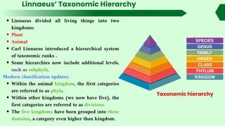 Linnaeus’ Taxonomic Hierarchy
Linnaeus divided all living things into two
kingdoms:
Plant
Animal
Carl Linnaeus introduced a hierarchical system
of taxonomic ranks .
Some hierarchies now include additional levels,
such as subphyla.
Modern classification updates:
Within the animal kingdom, the first categories
are referred to as phyla.
Within other kingdoms (we now have five), the
first categories are referred to as divisions.
The five kingdoms have been grouped into three
domains, a category even higher than kingdom.
Taxonomic hierarchy
 
