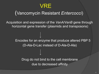 Vanb Operon Bacterial drug resistance | PPTX