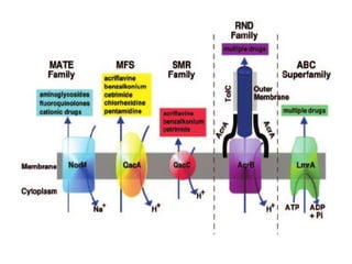Bacterial drug resistance | PPTX