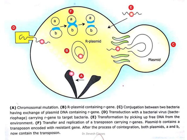BACTERIAL DRUG RESISTANCE.pptx