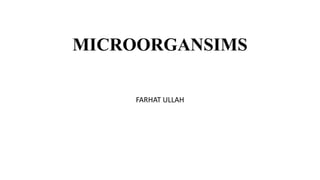 MICROORGANSIMS
FARHAT ULLAH
 