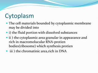 Bacteria Lec 33333333333333333rd sem.pptx