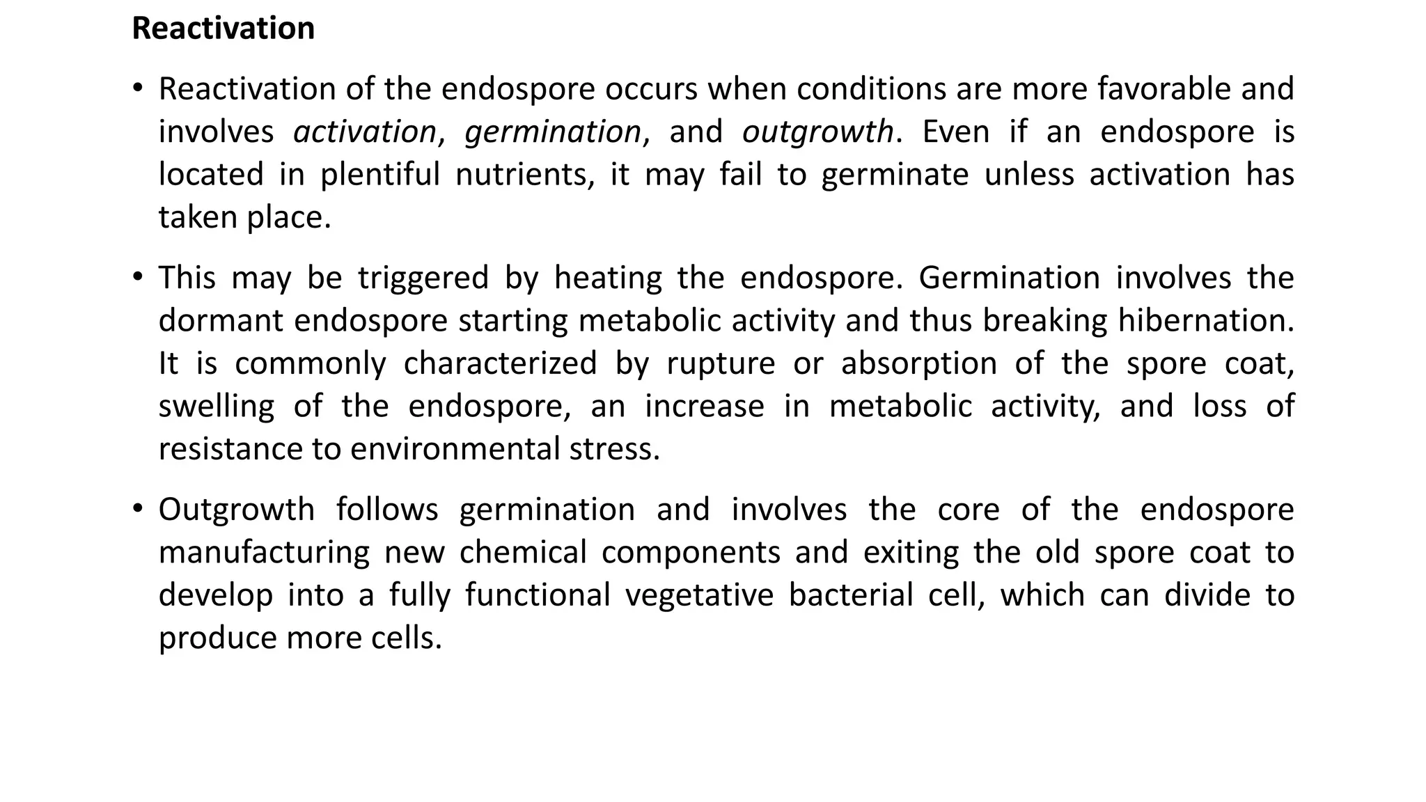 Reactivation
• Reactivation of the endospore occurs when conditions are more favorable and
involves activation, germination, and outgrowth. Even if an endospore is
located in plentiful nutrients, it may fail to germinate unless activation has
taken place.
• This may be triggered by heating the endospore. Germination involves the
dormant endospore starting metabolic activity and thus breaking hibernation.
It is commonly characterized by rupture or absorption of the spore coat,
swelling of the endospore, an increase in metabolic activity, and loss of
resistance to environmental stress.
• Outgrowth follows germination and involves the core of the endospore
manufacturing new chemical components and exiting the old spore coat to
develop into a fully functional vegetative bacterial cell, which can divide to
produce more cells.
 