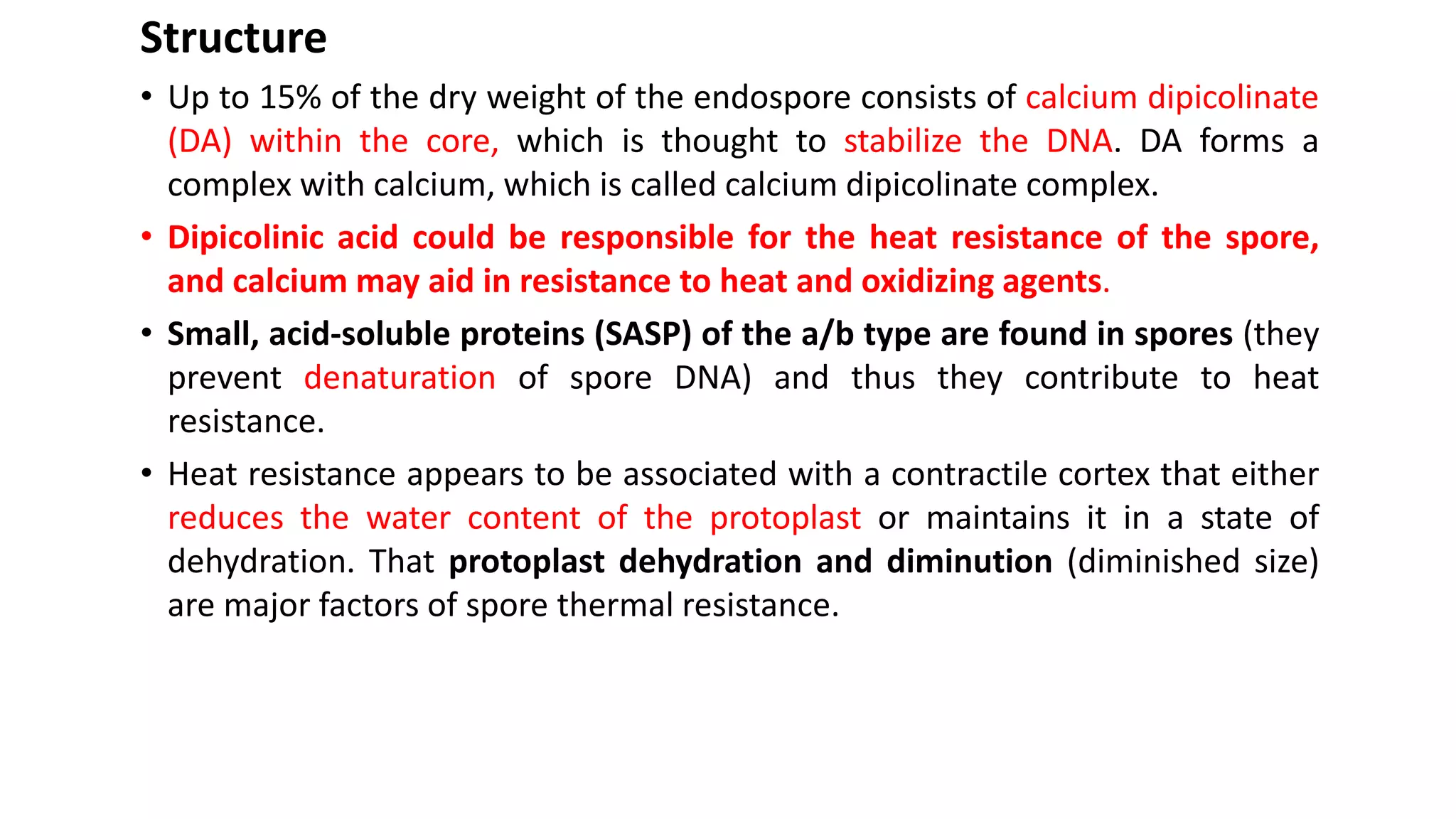 Structure
• Up to 15% of the dry weight of the endospore consists of calcium dipicolinate
(DA) within the core, which is thought to stabilize the DNA. DA forms a
complex with calcium, which is called calcium dipicolinate complex.
• Dipicolinic acid could be responsible for the heat resistance of the spore,
and calcium may aid in resistance to heat and oxidizing agents.
• Small, acid-soluble proteins (SASP) of the a/b type are found in spores (they
prevent denaturation of spore DNA) and thus they contribute to heat
resistance.
• Heat resistance appears to be associated with a contractile cortex that either
reduces the water content of the protoplast or maintains it in a state of
dehydration. That protoplast dehydration and diminution (diminished size)
are major factors of spore thermal resistance.
 