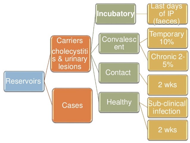 Mild Case Of Food Poisoning Treatment Mild Case Of Food Poisoning Treatment