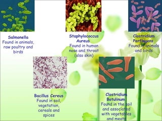 Bacillus Cereus   Found in  soil, vegetation, cereals and spices Staphylococcus Aureus   Found in  human nose and throat (also skin) Clostridium Perfingens   Found in  animals and birds Salmonella Found in animals, raw poultry and birds Clostridium Botulinum   Found in  the soil and associated with vegetables and meats 
