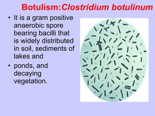 Botulism: Clostridium botulinum It is a gram positive anaerobic spore bearing bacilli that is widely distributed in soil, sediments of lakes and ponds, and decaying vegetation. 