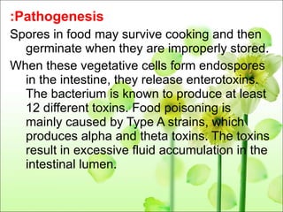 : Pathogenesis Spores in food may survive cooking and then germinate when they are improperly stored. When these vegetative cells form endospores in the intestine, they release enterotoxins. The bacterium is known to produce at least 12 different toxins. Food poisoning is mainly caused by Type A strains, which produces alpha and theta toxins. The toxins result in excessive fluid accumulation in the intestinal lumen. 