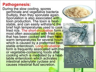 Pathogenesis: During the slow cooling, spores germinate and vegetative bacteria multiply, then they sporulate again. Sporulation is also associated with toxin production. The toxin is heat-stable, and can easily withstand the brief high temperatures used to cook fried rice.  The short-incubation  form is most often associated with fried rice that has been cooked and then held at warm temperatures for several hours which is caused by a preformed heat-stable enterotoxin.  Long-incubation  form is frequently associated with meat or vegetable-containing foods after cooking which is mediated by a heat-labile enterotoxin which activates intestinal adenylate cyclase and causes intestinal fluid secretion. 