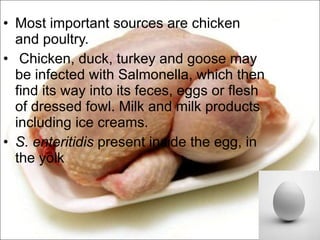 Most important sources are chicken and poultry. Chicken, duck, turkey and goose may be infected with Salmonella, which then find its way into its feces, eggs or flesh of dressed fowl. Milk and milk products including ice creams. S. enteritidis  present inside the egg, in the yolk 