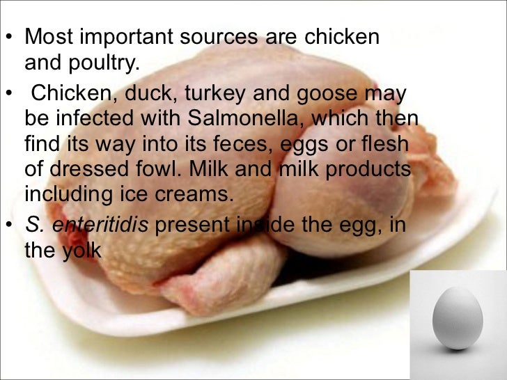 Multiplication Of Food Poisoning Bacteria Multiplication Of Food Poisoning Bacteria