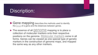 Discription:
 Gene mapping describes the methods used to identify
the locus of a gene and the distances between genes.
 The essence of all genome mapping is to place a
collection of molecular markers onto their respective
positions on the genome. Molecular markers come in all
forms. Genes can be viewed as one special type of genetic
markers in the construction of genome maps, and mapped
the same way as any other markers.
 