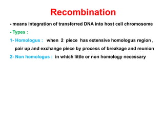 Recombination
- means integration of transferred DNA into host cell chromosome
- Types :
1- Homologus : when 2 piece has extensive homologus region ,
pair up and exchange piece by process of breakage and reunion
2- Non homologus : in which little or non homology necessary
 