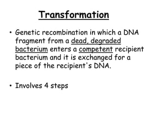 Bacterial Genetic Recombination II-1.ppt