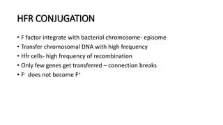HFR CONJUGATION
• F factor integrate with bacterial chromosome- episome
• Transfer chromosomal DNA with high frequency
• Hfr cells- high frequency of recombination
• Only few genes get transferred – connection breaks
• F- does not become F+
 