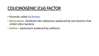 COLICINOGENIC (Col) FACTOR
• Plasmids called col factors
• Bacteriocins -Antibiotic like substances produced by one bacteria that
inhibit other bacteria
• Colicin – bacteriocin produced by coliforms
 