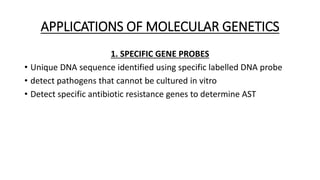 APPLICATIONS OF MOLECULAR GENETICS
1. SPECIFIC GENE PROBES
• Unique DNA sequence identified using specific labelled DNA probe
• detect pathogens that cannot be cultured in vitro
• Detect specific antibiotic resistance genes to determine AST
 