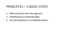 PRINCIPLES – 3 BASIC STEPS
1. DNA extraction from the organism
2. Amplification of extracted DNA
3. Gel electrophoresis of amplified product
 