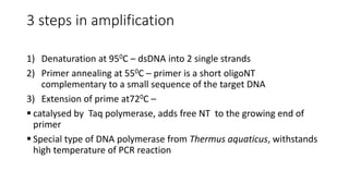 3 steps in amplification
1) Denaturation at 950C – dsDNA into 2 single strands
2) Primer annealing at 550C – primer is a short oligoNT
complementary to a small sequence of the target DNA
3) Extension of prime at720C –
 catalysed by Taq polymerase, adds free NT to the growing end of
primer
 Special type of DNA polymerase from Thermus aquaticus, withstands
high temperature of PCR reaction
 