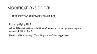 MODIFICATIONS OF PCR
1. REVERSE TRANSCRIPTASE PCR (RT-PCR)
• For amplifying RNA
• After RNA extraction, addition of reverse transcriptase enzyme
coverts RNA to DNA
• Detect RNA viruses/16SrRNA genes of the organism
 