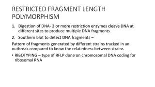 RESTRICTED FRAGMENT LENGTH
POLYMORPHISM
1. Digestion of DNA- 2 or more restriction enzymes cleave DNA at
different sites to produce multiple DNA fragments
2. Southern blot to detect DNA fragments –
Pattern of fragments generated by different strains tracked in an
outbreak compared to know the relatedness between strains
• RIBOTYPING – type of RFLP done on chromosomal DNA coding for
ribosomal RNA
 