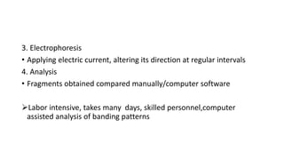 3. Electrophoresis
• Applying electric current, altering its direction at regular intervals
4. Analysis
• Fragments obtained compared manually/computer software
Labor intensive, takes many days, skilled personnel,computer
assisted analysis of banding patterns
 