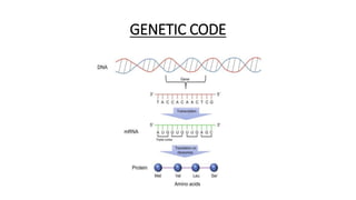 GENETIC CODE
 