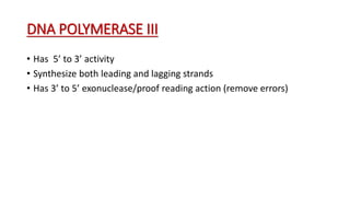 DNA POLYMERASE III
• Has 5’ to 3’ activity
• Synthesize both leading and lagging strands
• Has 3’ to 5’ exonuclease/proof reading action (remove errors)
 