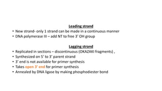 Leading strand
• New strand- only 1 strand can be made in a continuous manner
• DNA polymerase III – add NT to free 3’ OH group
Lagging strand
• Replicated in sections – discontinuous (OKAZAKI fragments) ,
• Synthesized on 5’ to 3’ parent strand
• 3’ end is not available for primer synthesis
• Takes open 3’ end for primer synthesis
• Annealed by DNA ligase by making phosphodiester bond
 