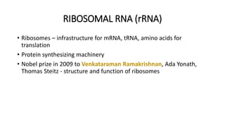 RIBOSOMAL RNA (rRNA)
• Ribosomes – infrastructure for mRNA, tRNA, amino acids for
translation
• Protein synthesizing machinery
• Nobel prize in 2009 to Venkataraman Ramakrishnan, Ada Yonath,
Thomas Steitz - structure and function of ribosomes
 