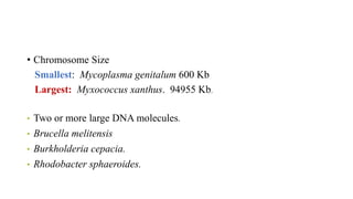 • Chromosome Size
Smallest: Mycoplasma genitalum 600 Kb
Largest: Myxococcus xanthus. 94955 Kb.
• Two or more large DNA molecules.
• Brucella melitensis
• Burkholderia cepacia.
• Rhodobacter sphaeroides.
 