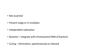 • Not essential
• Present singly or in multiples
• Independent replication
• Episome – integrate with chromosomal DNA of bacteria
• Curing – elimination, spontaneously or induced
 