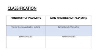 CLASSIFICATION
CONJUGATIVE PLASMIDS NON CONJUGATIVE PLASMIDS
Transfer themselves to other bacteria Cannot transfer themselves
Self transmissible Non transmissible
 