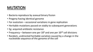 MUTATION
• Bacteria reproduce by asexual binary fission
• Progeny having identical genome
• For evolution – occasional variations in gene replication
• Heritable mutations passed on stably to subsequent generations
• Eg: acquired antibiotic resistance
• Frequency – between one per 104 and one per 1010 cell divisions
• Random, undirected heritable variation caused by a change in the
nucleotide sequence of the genome of the cell
 