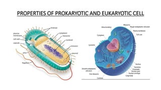 PROPERTIES OF PROKARYOTIC AND EUKARYOTIC CELL
 