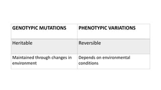 GENOTYPIC MUTATIONS PHENOTYPIC VARIATIONS
Heritable Reversible
Maintained through changes in
environment
Depends on environmental
conditions
 