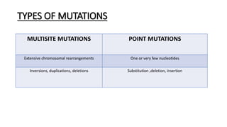 TYPES OF MUTATIONS
MULTISITE MUTATIONS POINT MUTATIONS
Extensive chromosomal rearrangements One or very few nucleotides
Inversions, duplications, deletions Substitution ,deletion, insertion
 